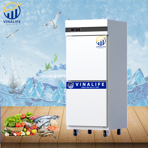 Tủ Đông Lạnh 2 Cánh 2 Chế Độ Quạt Gió