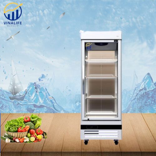 Tủ Đông Đứng Quạt Gió 1 Cánh Kính