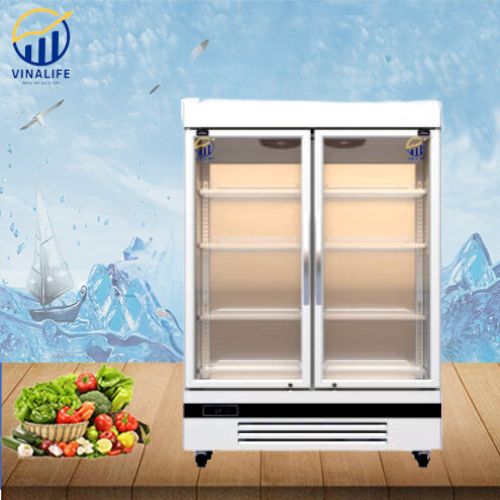 Tủ Đông Đứng Quạt Gió 2 Cánh Kính