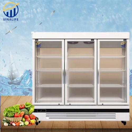 Tủ Đông Đứng Quạt Gió 3 Cánh Kính